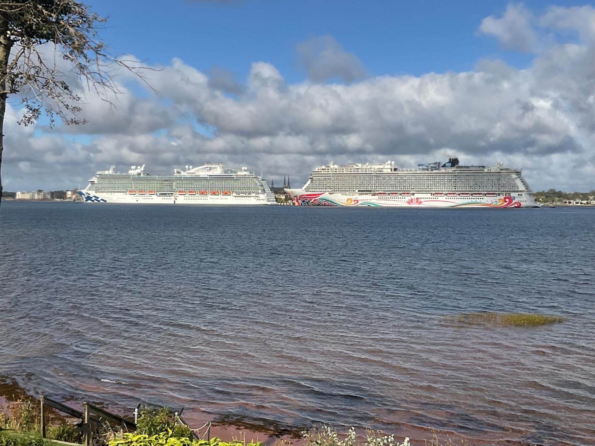 Scenic Harbour View House Waterfront Lejlighed Stratford Eksteriør billede